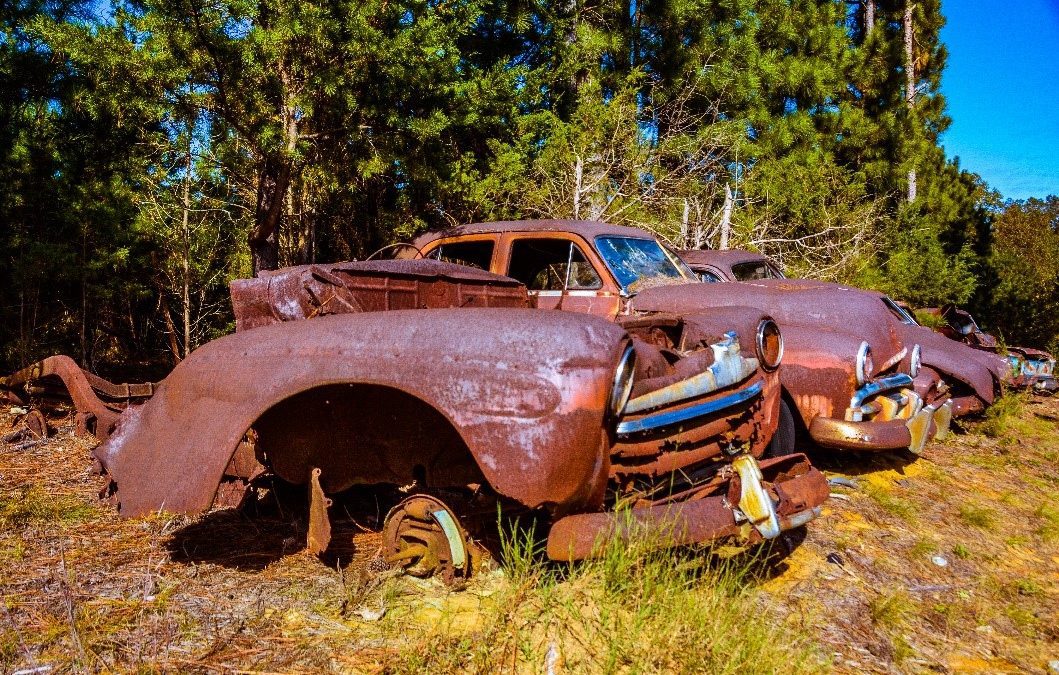 Warriors Once Again - rusted abandoned cars in field